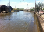 Rio Sguazzatoio, oltre al danno anche la beffa