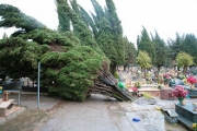 “Cimitero, occorre fare chiarezza”