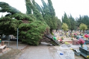 Cimitero, occorre fare chiarezza