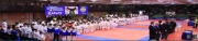 Alla Scuola di karate Aryes Nadir la Coppa Italia Fik