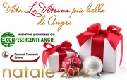 La Confesercenti Angri lancia il concorso  Vota la Vetrina 