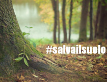 salvasuolo